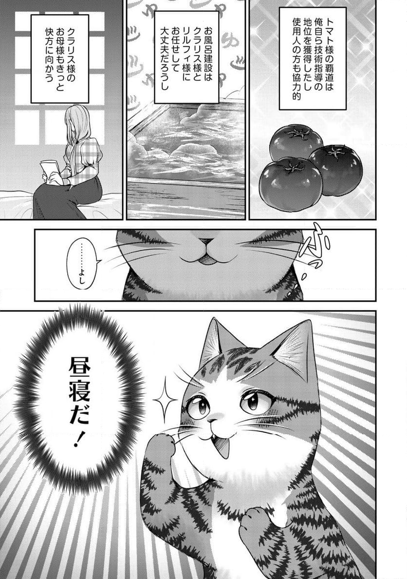 我輩は猫魔導師である～キジトラ・ルークの快適チート猫生活～ - 第16話 - Page 15