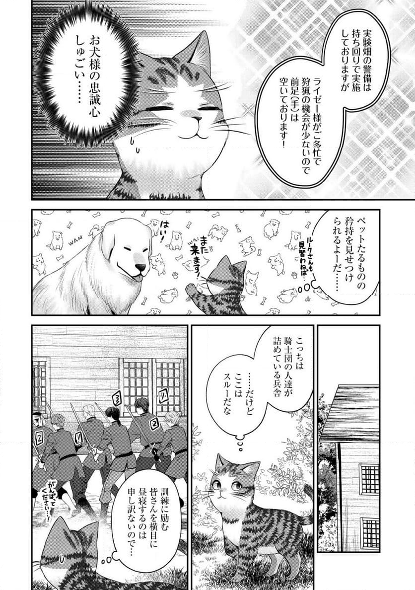 我輩は猫魔導師である～キジトラ・ルークの快適チート猫生活～ - 第16話 - Page 18