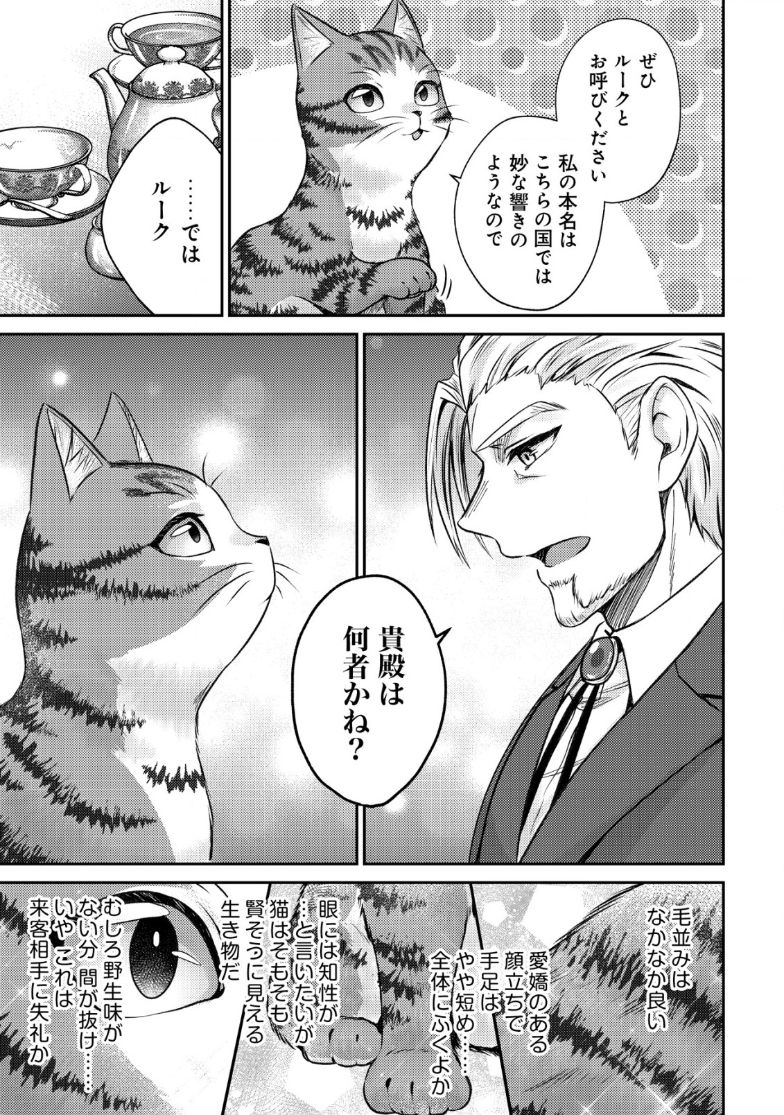 我輩は猫魔導師である～キジトラ・ルークの快適チート猫生活～ - 第3話 - Page 15