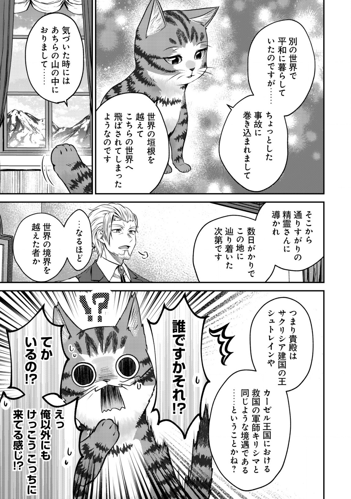 我輩は猫魔導師である～キジトラ・ルークの快適チート猫生活～ - 第3話 - Page 17