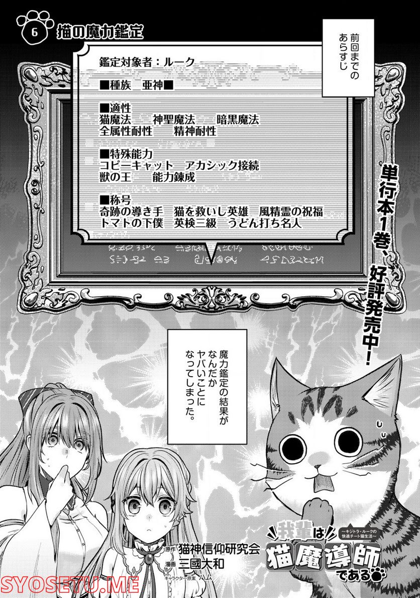 我輩は猫魔導師である～キジトラ・ルークの快適チート猫生活～ - 第6話 - Page 1