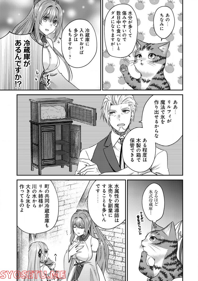 我輩は猫魔導師である～キジトラ・ルークの快適チート猫生活～ - 第6話 - Page 13