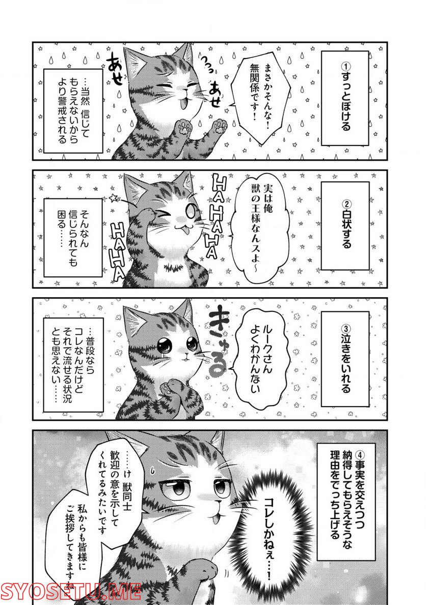 我輩は猫魔導師である～キジトラ・ルークの快適チート猫生活～ - 第6話 - Page 20