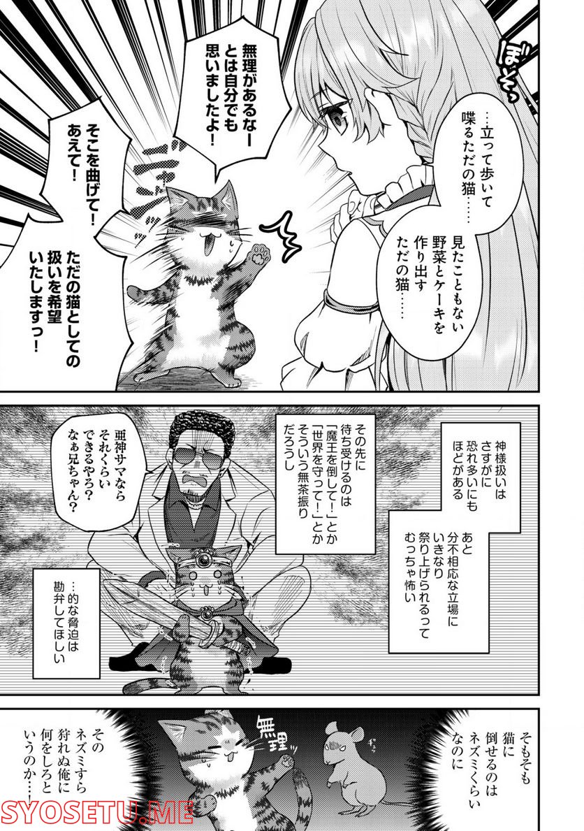 我輩は猫魔導師である～キジトラ・ルークの快適チート猫生活～ - 第6話 - Page 7