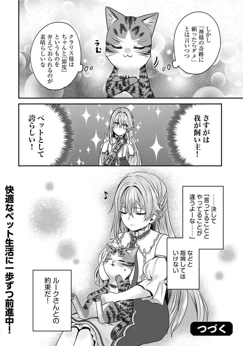 我輩は猫魔導師である～キジトラ・ルークの快適チート猫生活～ - 第13.2話 - Page 10