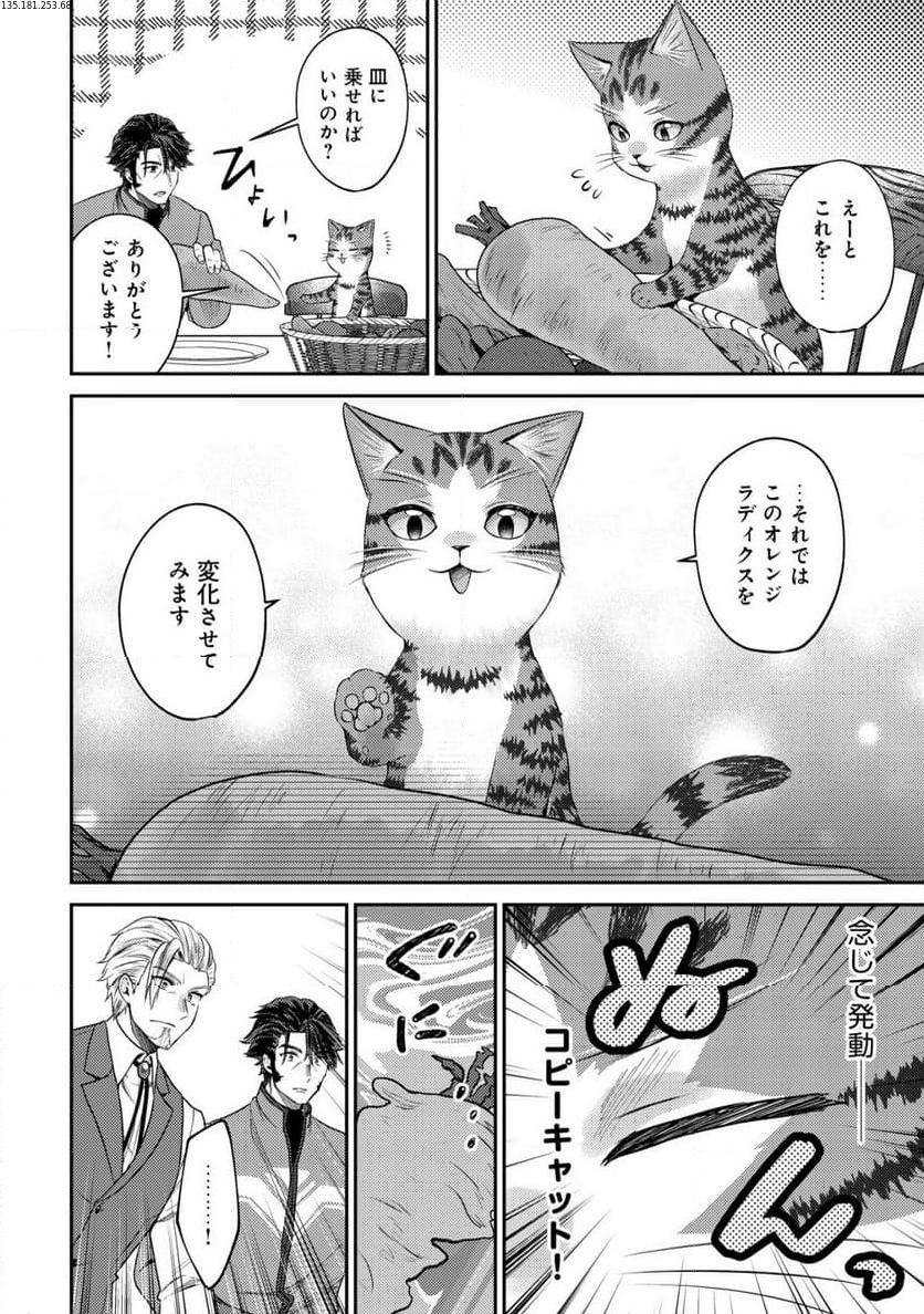 我輩は猫魔導師である～キジトラ・ルークの快適チート猫生活～ - 第13.1話 - Page 2