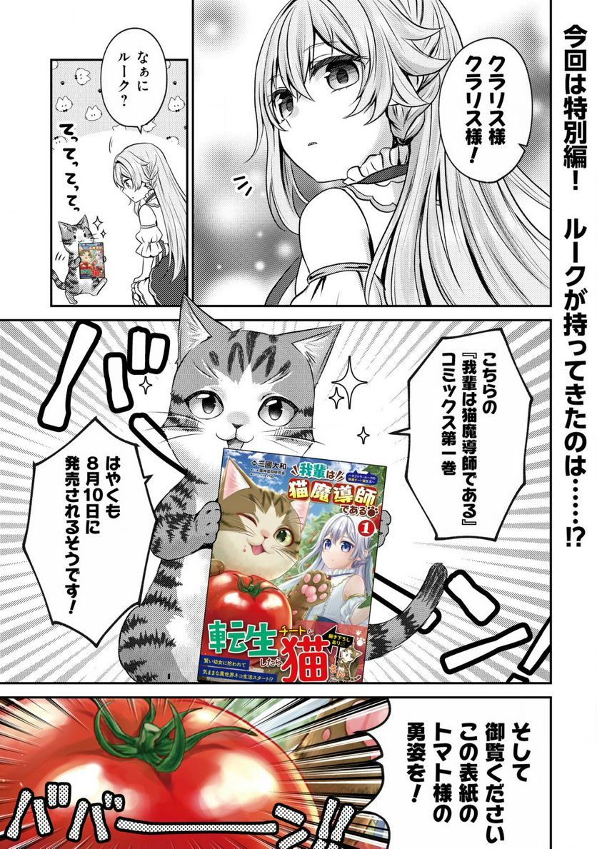 我輩は猫魔導師である～キジトラ・ルークの快適チート猫生活～ - 第5.5話 - Page 1