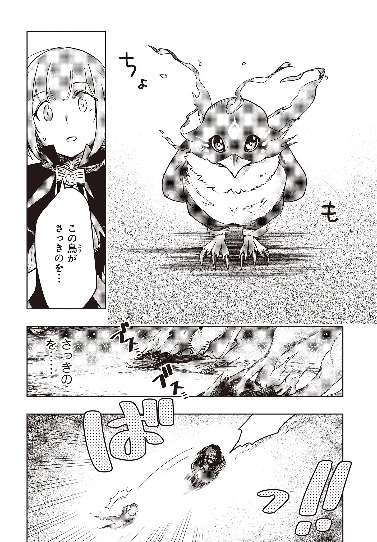 不死鳥への転生 ドラゴン倒せるって普通の鳥じゃないよね？ 第1話 - Page 12