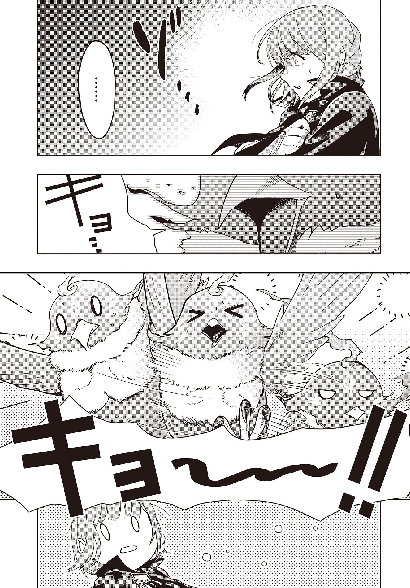 不死鳥への転生 ドラゴン倒せるって普通の鳥じゃないよね？ 第1話 - Page 13