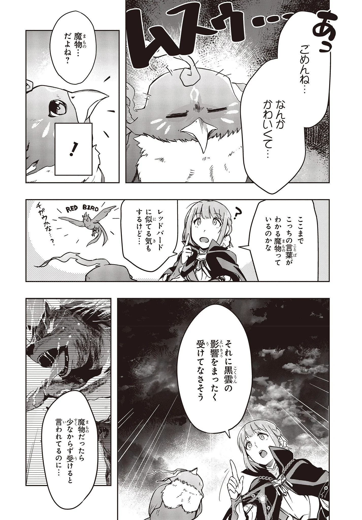 不死鳥への転生 ドラゴン倒せるって普通の鳥じゃないよね？ 第1話 - Page 16