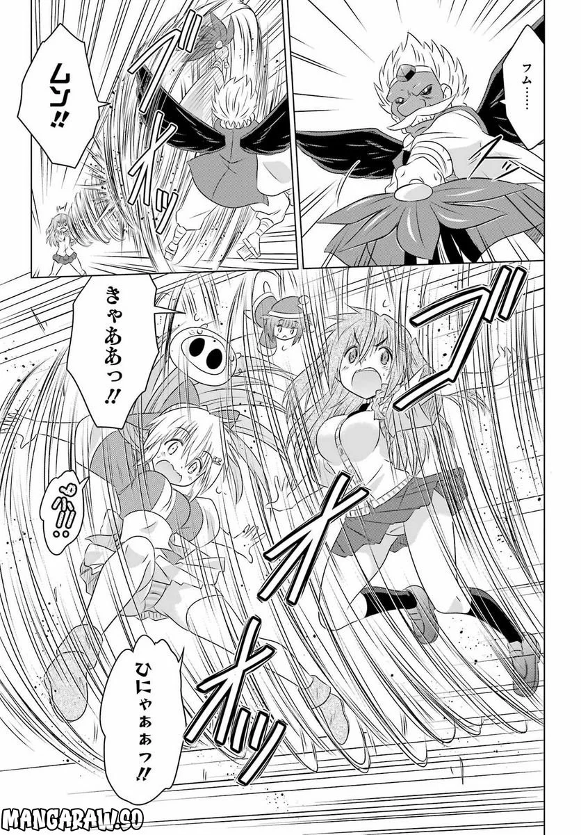 ながされて藍蘭島 第249話 - Page 19