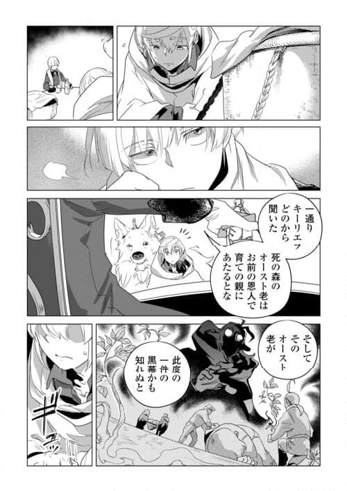 もふもふと異世界でスローライフを目指します! - 第57話 - Page 13