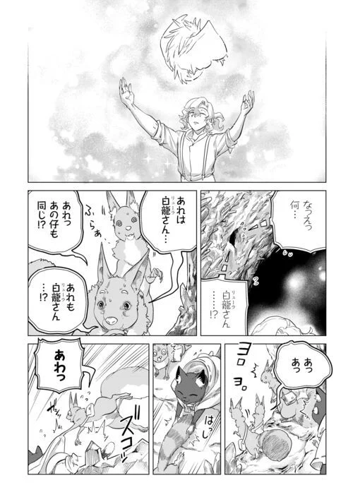 もふもふと異世界でスローライフを目指します! - 第49話 - Page 13