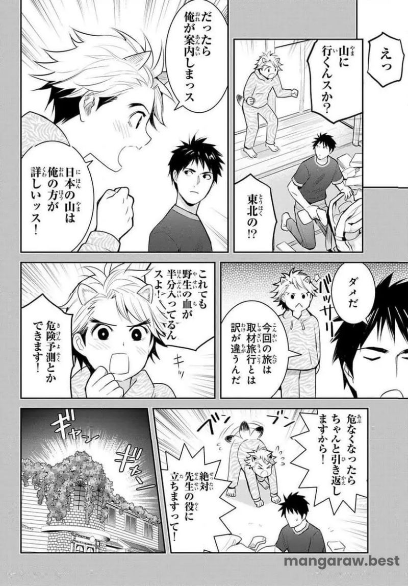 妖怪アパートの幽雅な日常 - 第146話 - Page 4