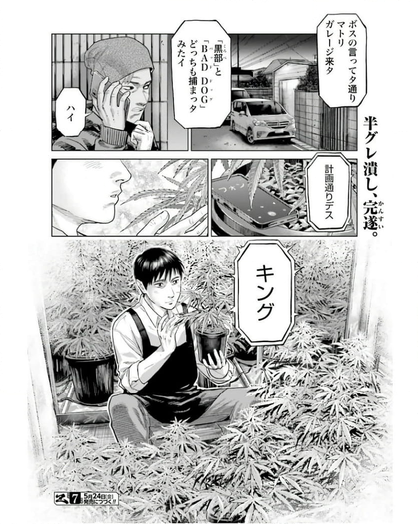 東京カンナビス特区 大麻王と呼ばれた男 第46話 - Page 18