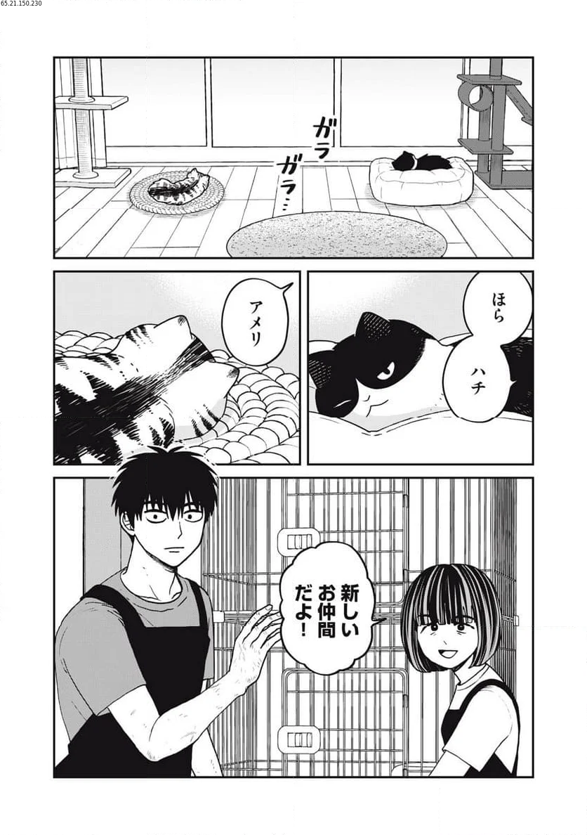 ツレ猫 マルルとハチ 第44話 - Page 1