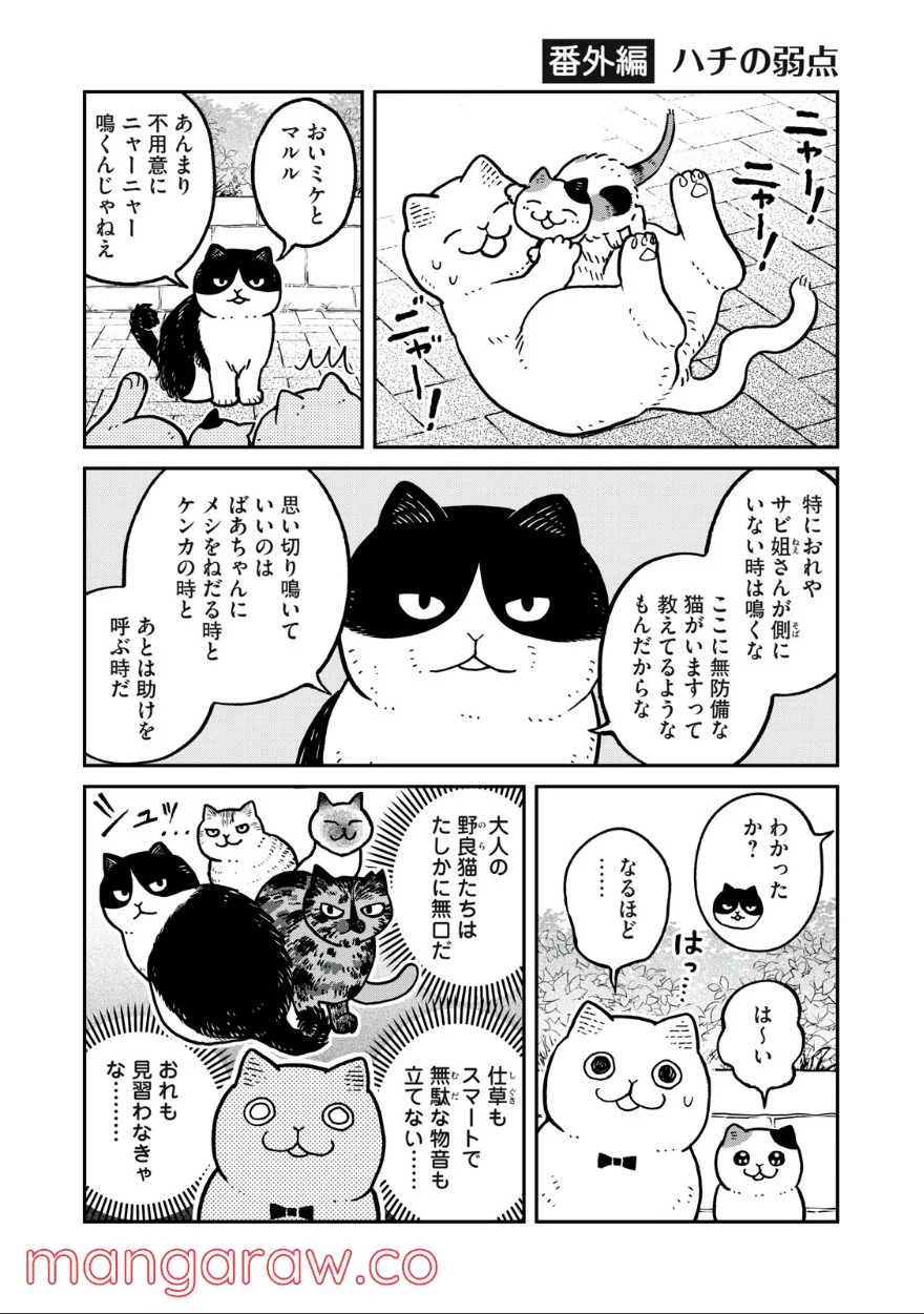 ツレ猫 マルルとハチ 第7.5話 - Page 1