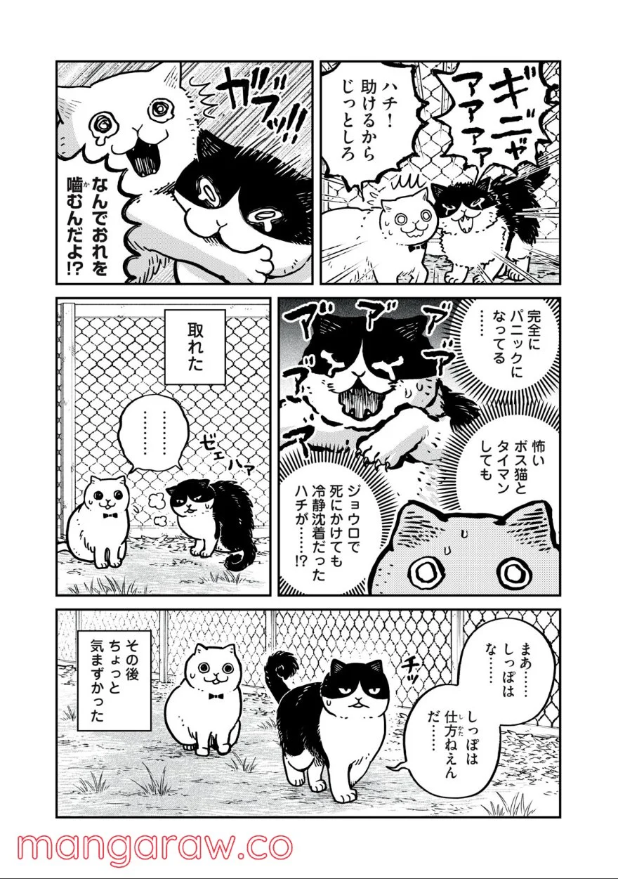 ツレ猫 マルルとハチ 第7.5話 - Page 3