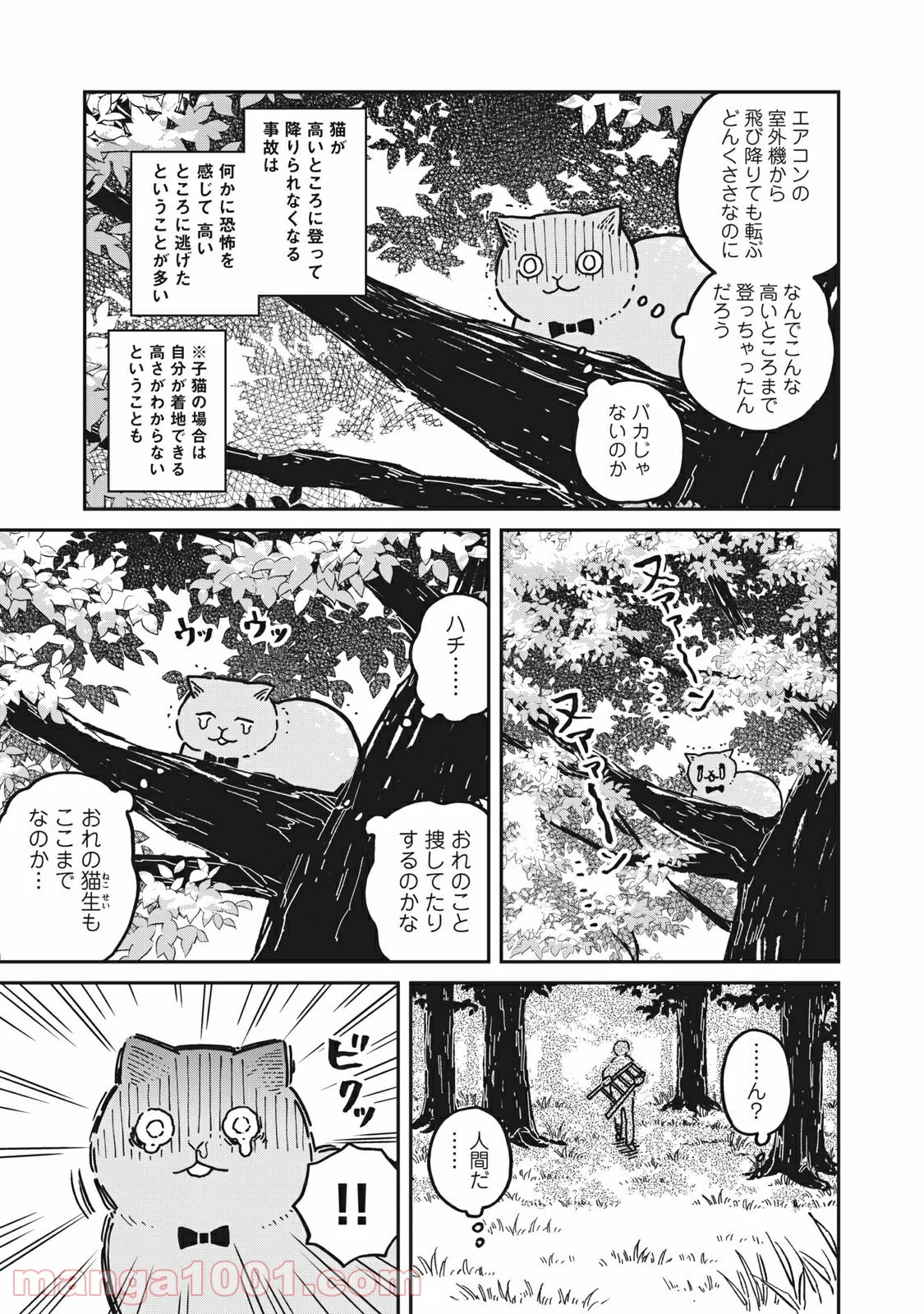 ツレ猫 マルルとハチ 第3話 - Page 13