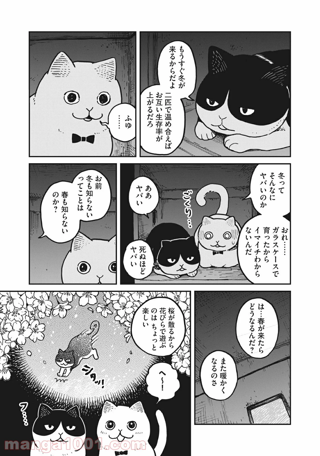 ツレ猫 マルルとハチ 第3話 - Page 3