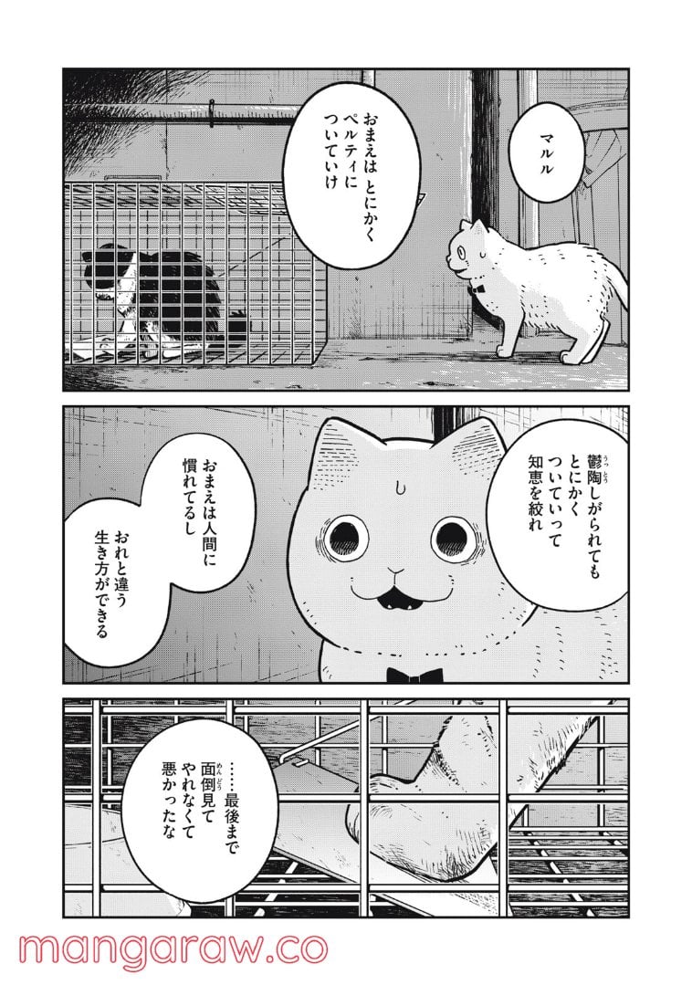 ツレ猫 マルルとハチ 第12話 - Page 4