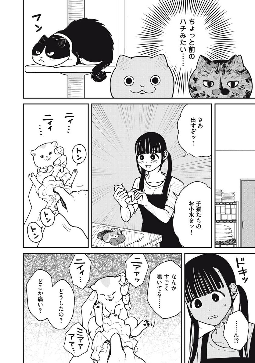 ツレ猫 マルルとハチ 第30話 - Page 2