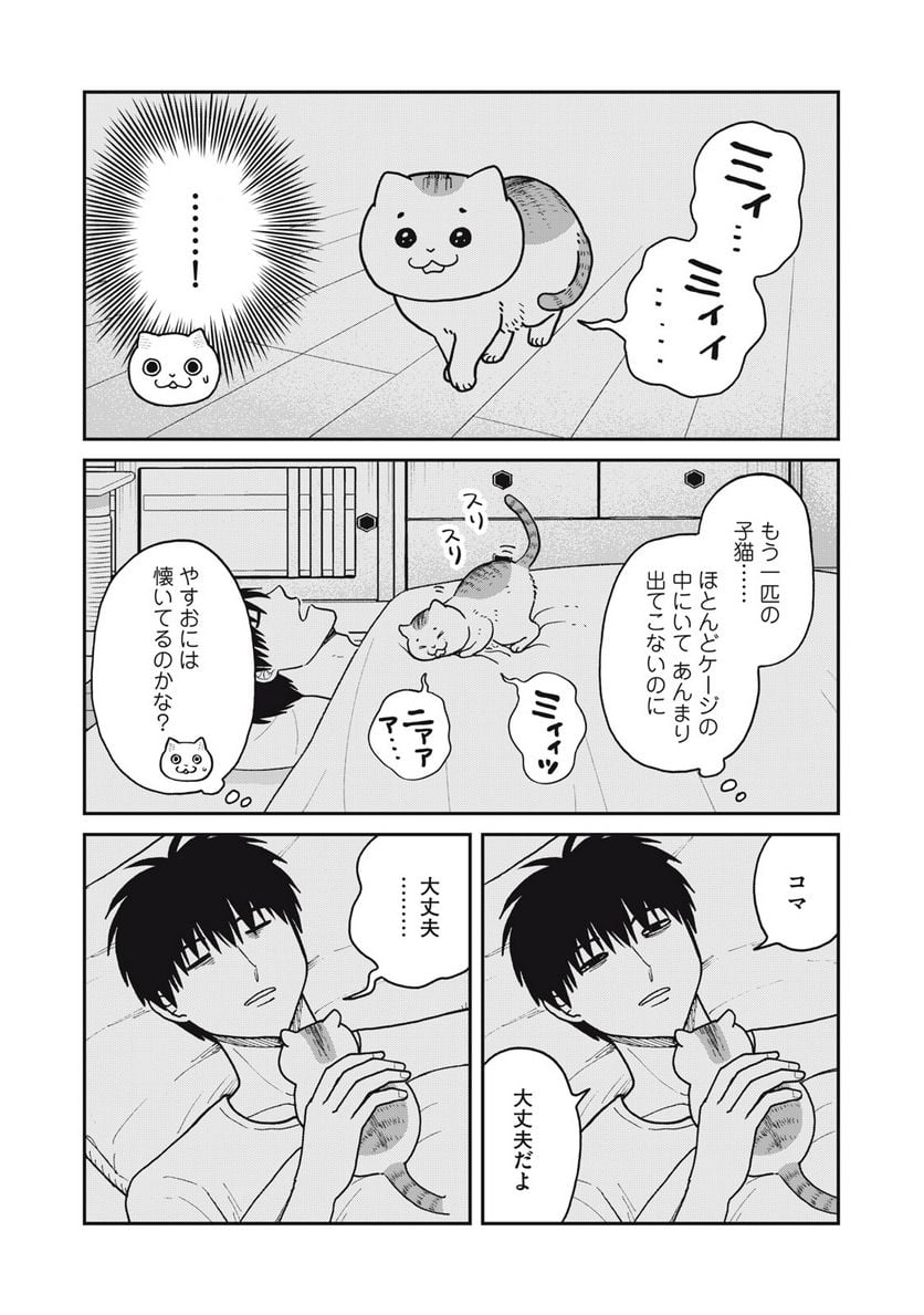 ツレ猫 マルルとハチ 第30話 - Page 6