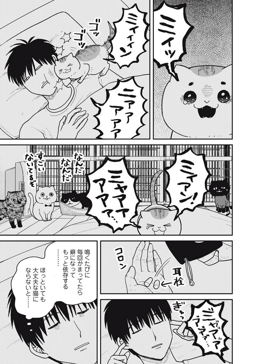 ツレ猫 マルルとハチ 第30話 - Page 7