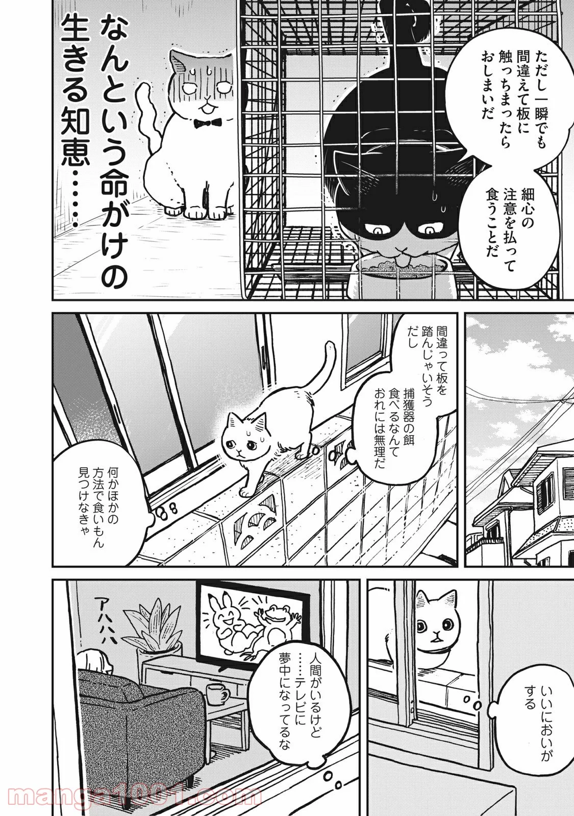 ツレ猫 マルルとハチ 第2話 - Page 12