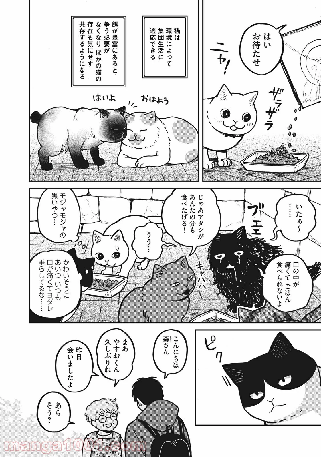 ツレ猫 マルルとハチ 第2話 - Page 4