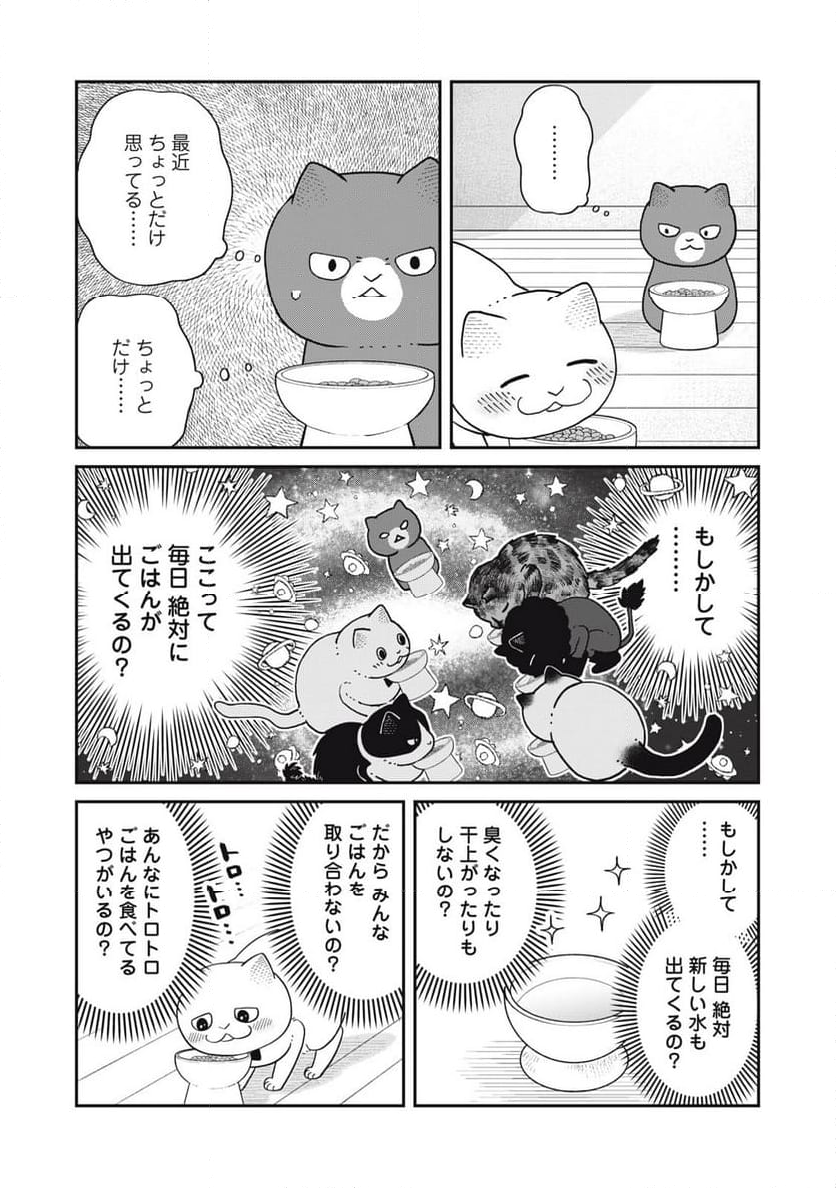 ツレ猫 マルルとハチ 第39話 - Page 3