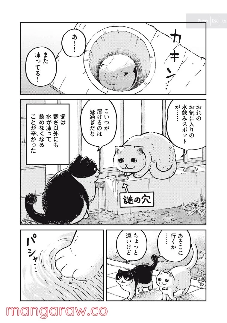 ツレ猫 マルルとハチ 第9話 - Page 1