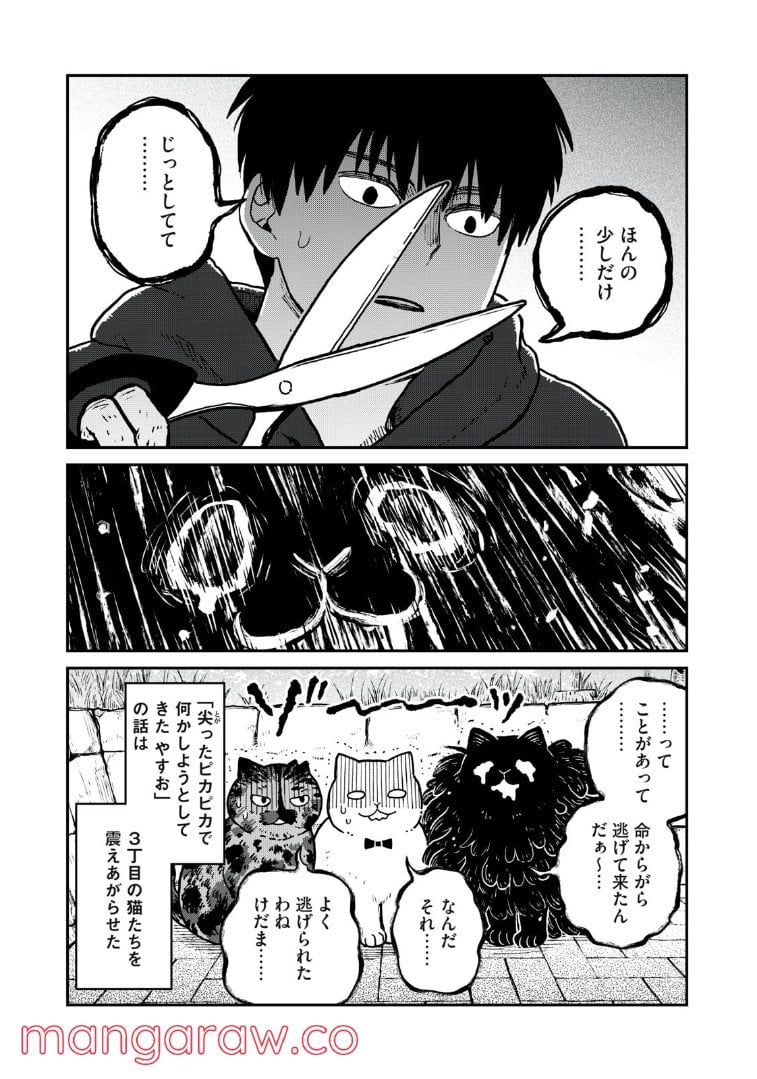 ツレ猫 マルルとハチ 第9.5話 - Page 3