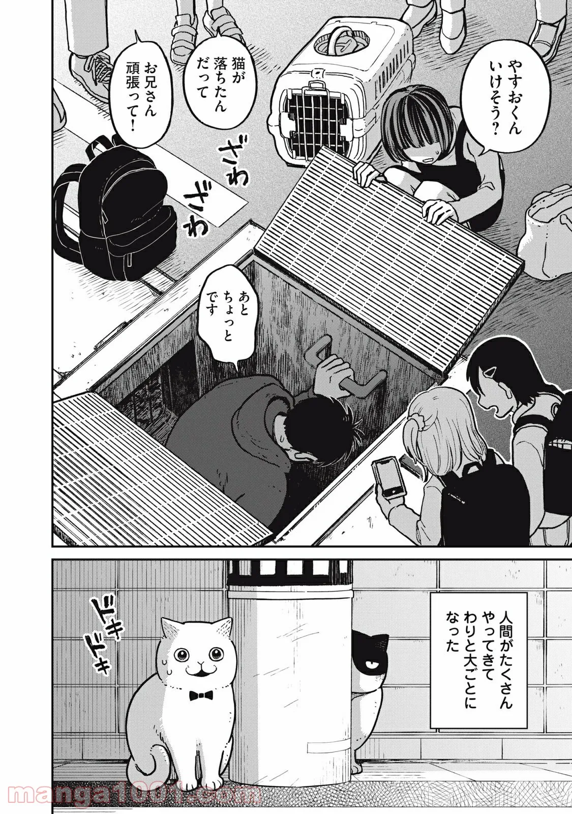 ツレ猫 マルルとハチ 第5.6話 - Page 16