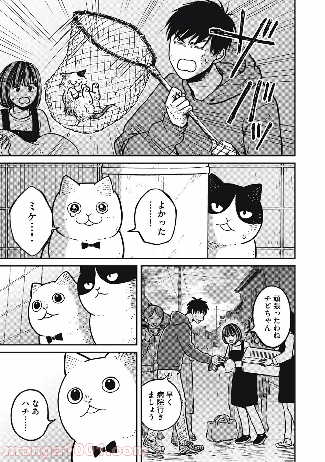 ツレ猫 マルルとハチ 第5.6話 - Page 17