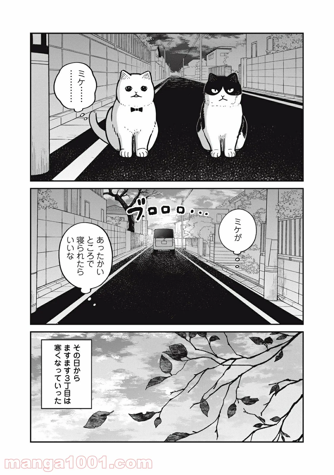 ツレ猫 マルルとハチ 第5.6話 - Page 19