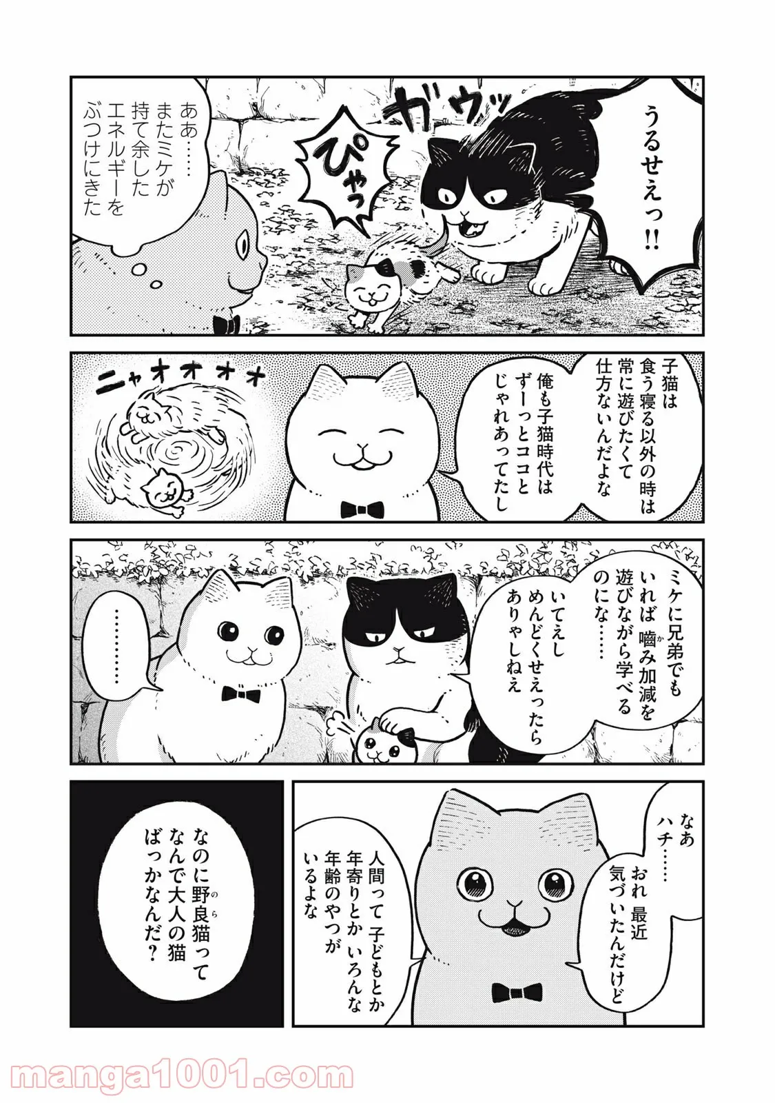 ツレ猫 マルルとハチ 第5.6話 - Page 3