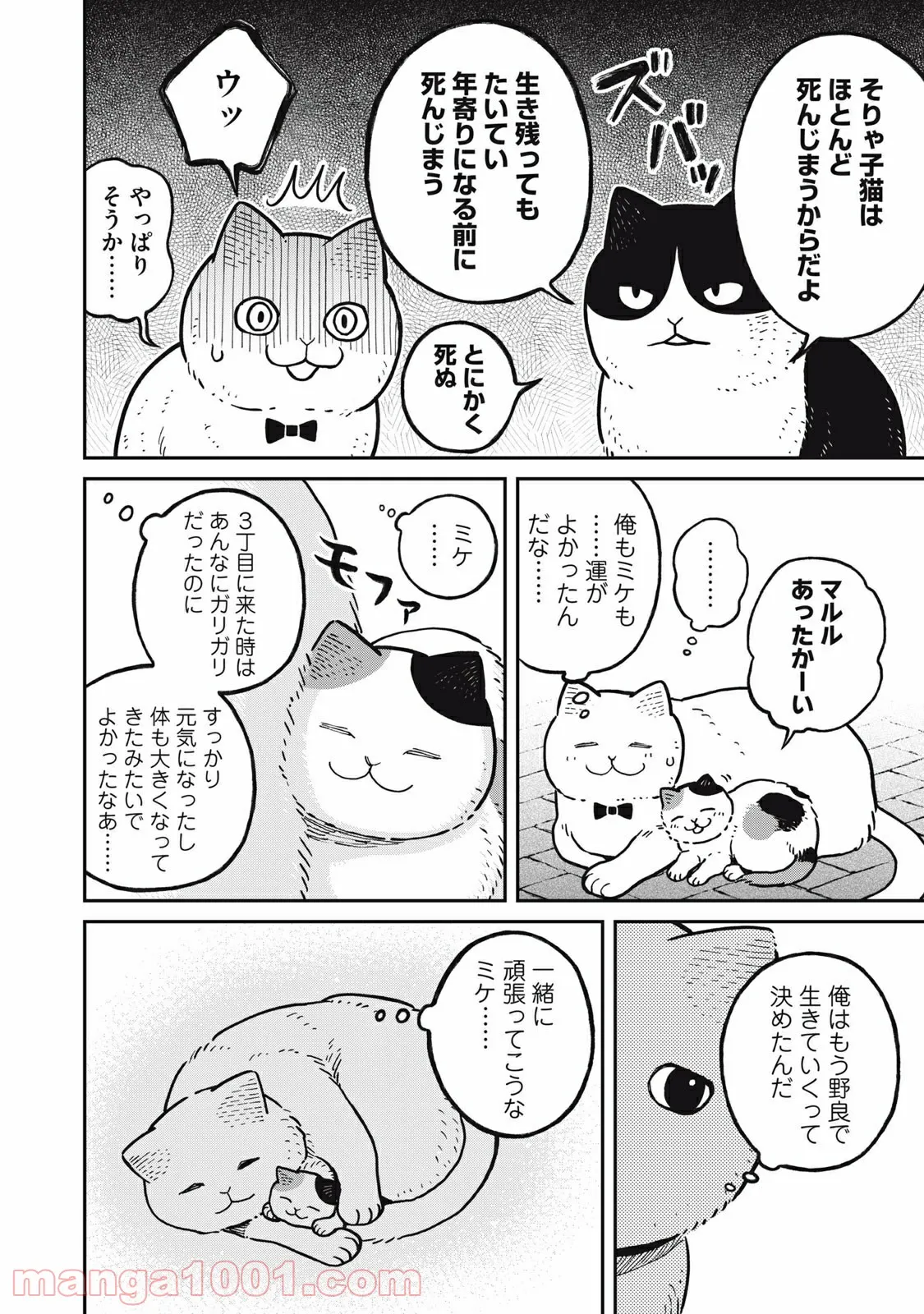 ツレ猫 マルルとハチ 第5.6話 - Page 4