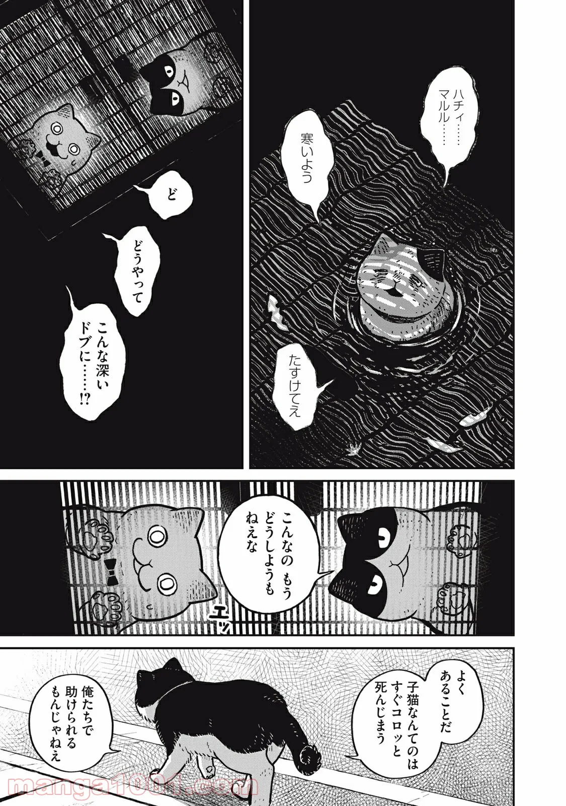 ツレ猫 マルルとハチ 第5.6話 - Page 7