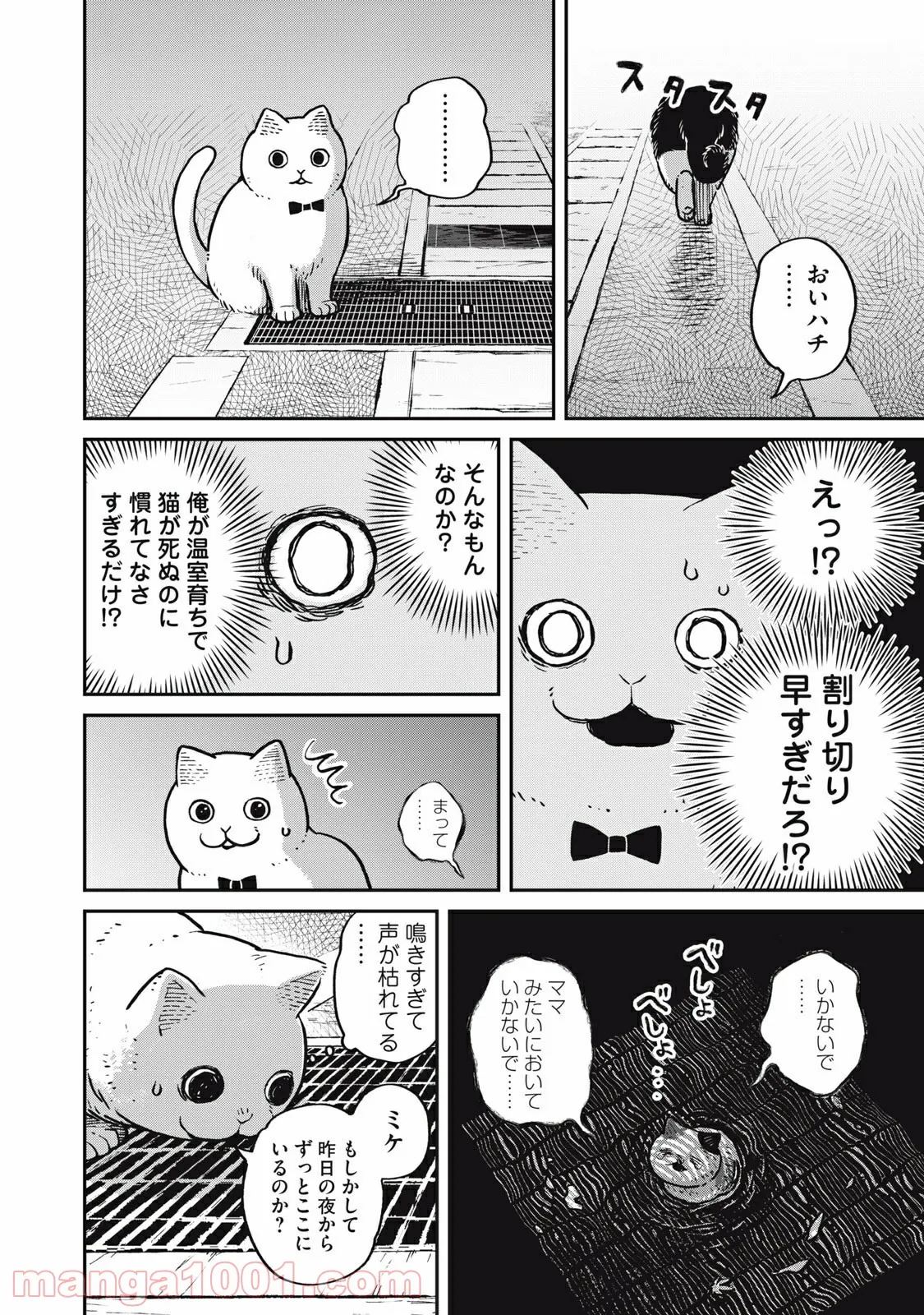 ツレ猫 マルルとハチ 第5.6話 - Page 8