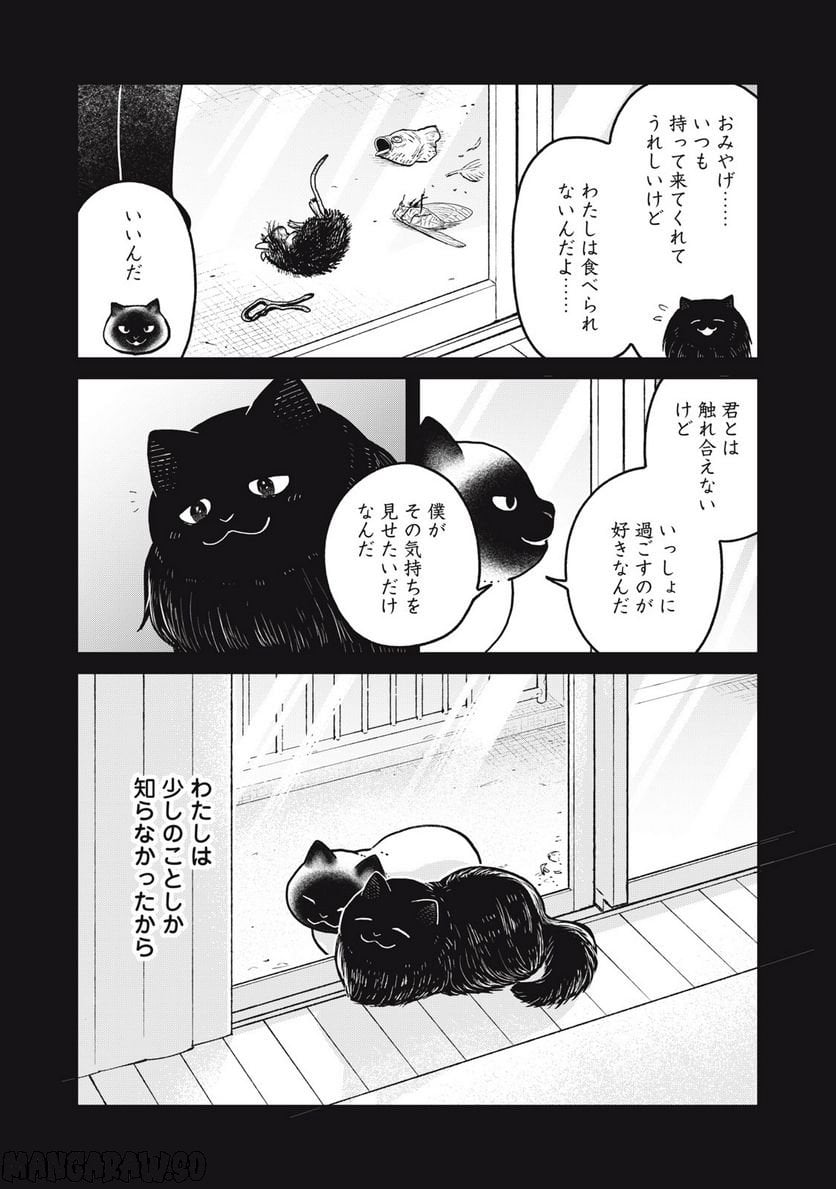 ツレ猫 マルルとハチ 第25話 - Page 4