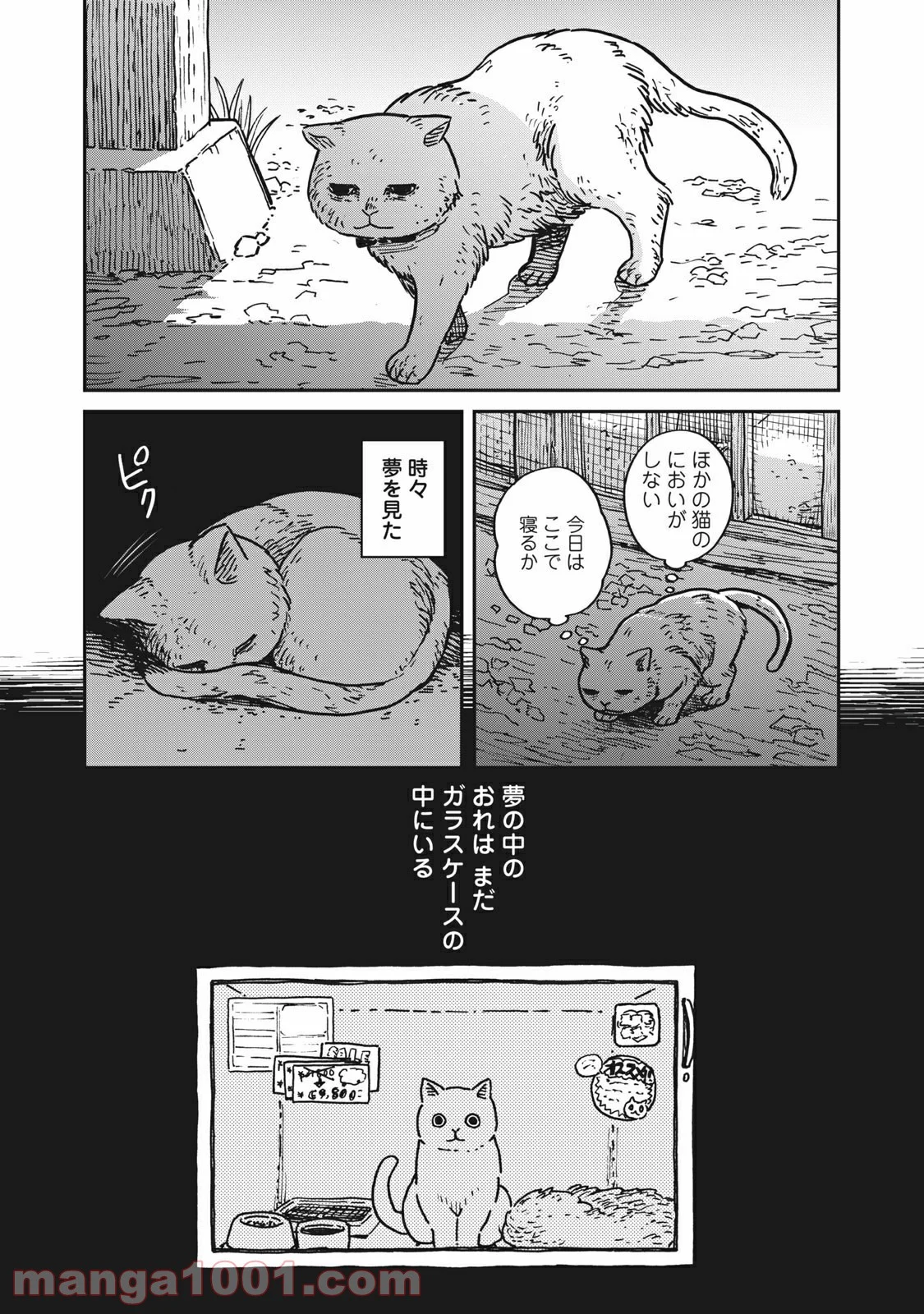 ツレ猫 マルルとハチ 第1話 - Page 11