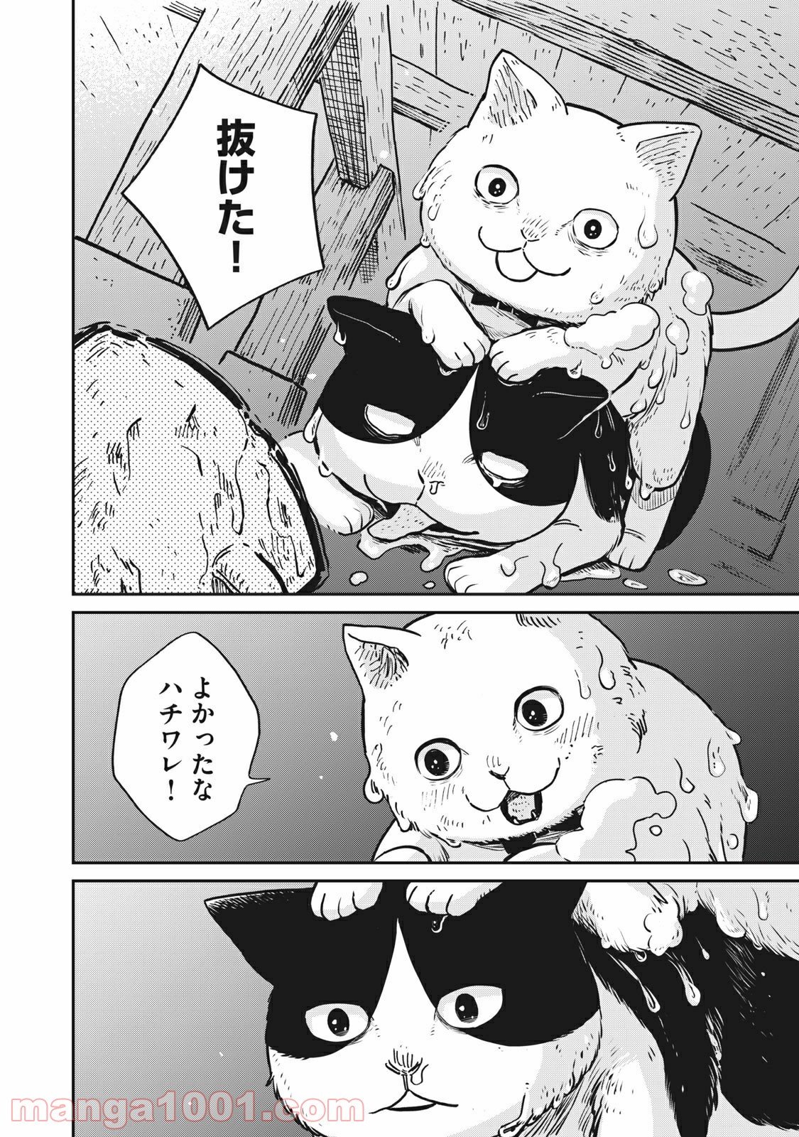 ツレ猫 マルルとハチ 第1話 - Page 28