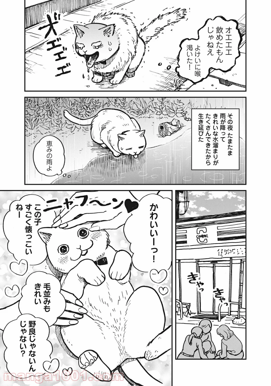 ツレ猫 マルルとハチ 第1話 - Page 9