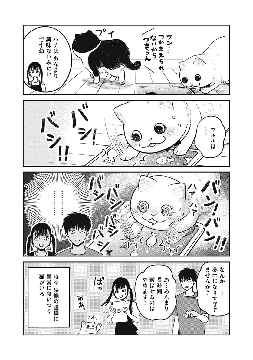 ツレ猫 マルルとハチ 第21話 - Page 2