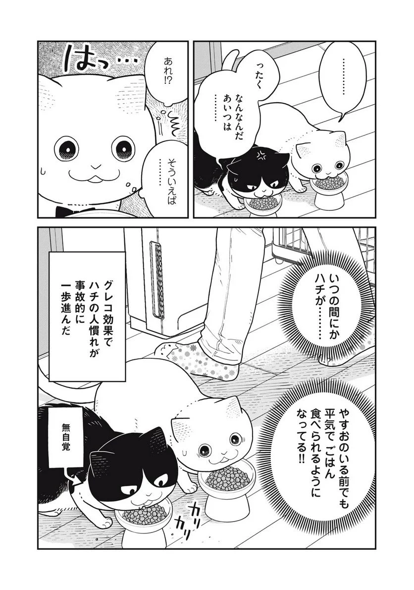 ツレ猫 マルルとハチ 第31話 - Page 2