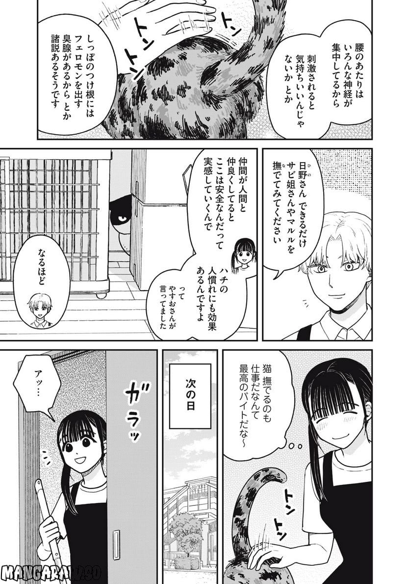 ツレ猫 マルルとハチ 第23話 - Page 3