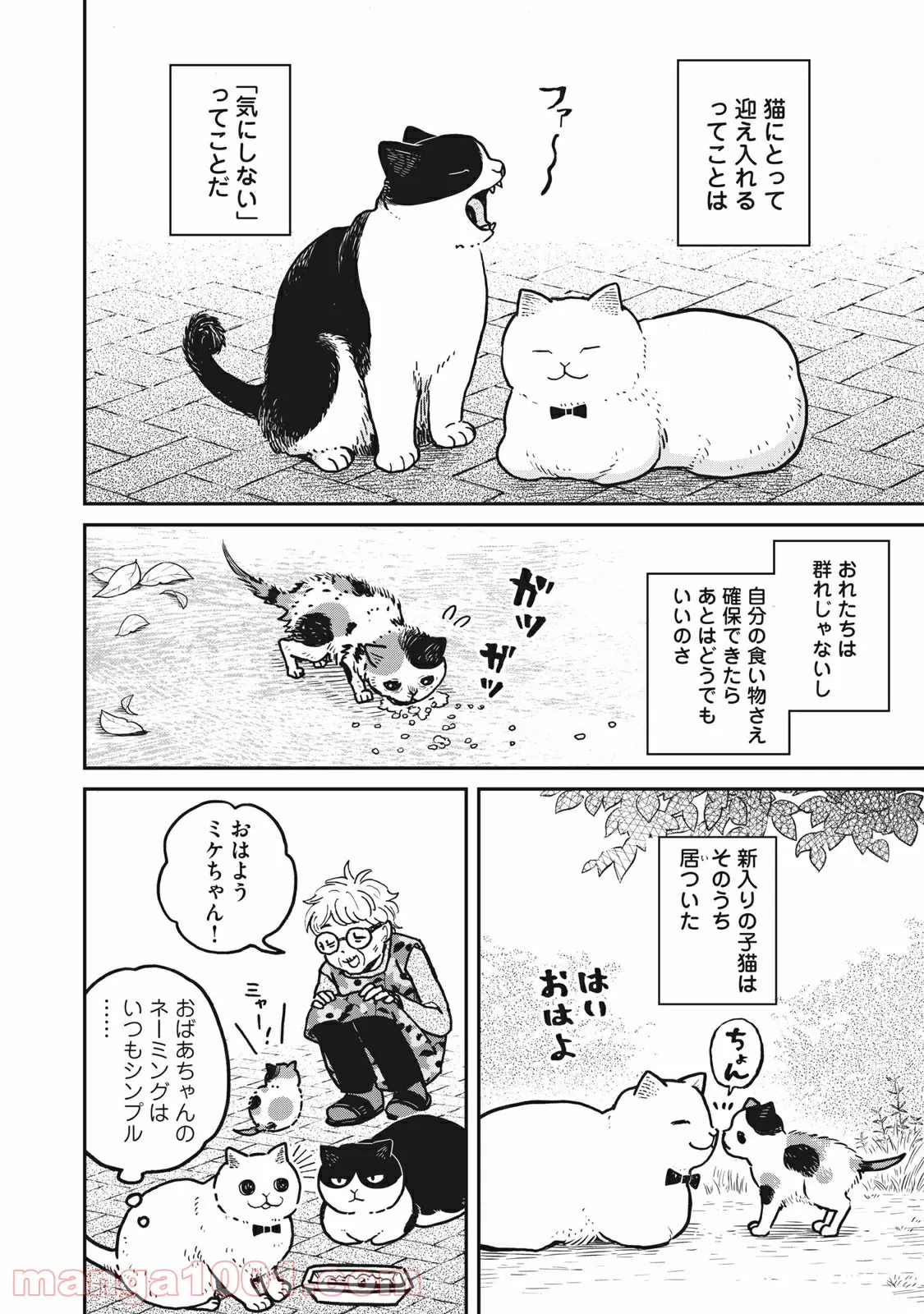 ツレ猫 マルルとハチ 第3.5話 - Page 2