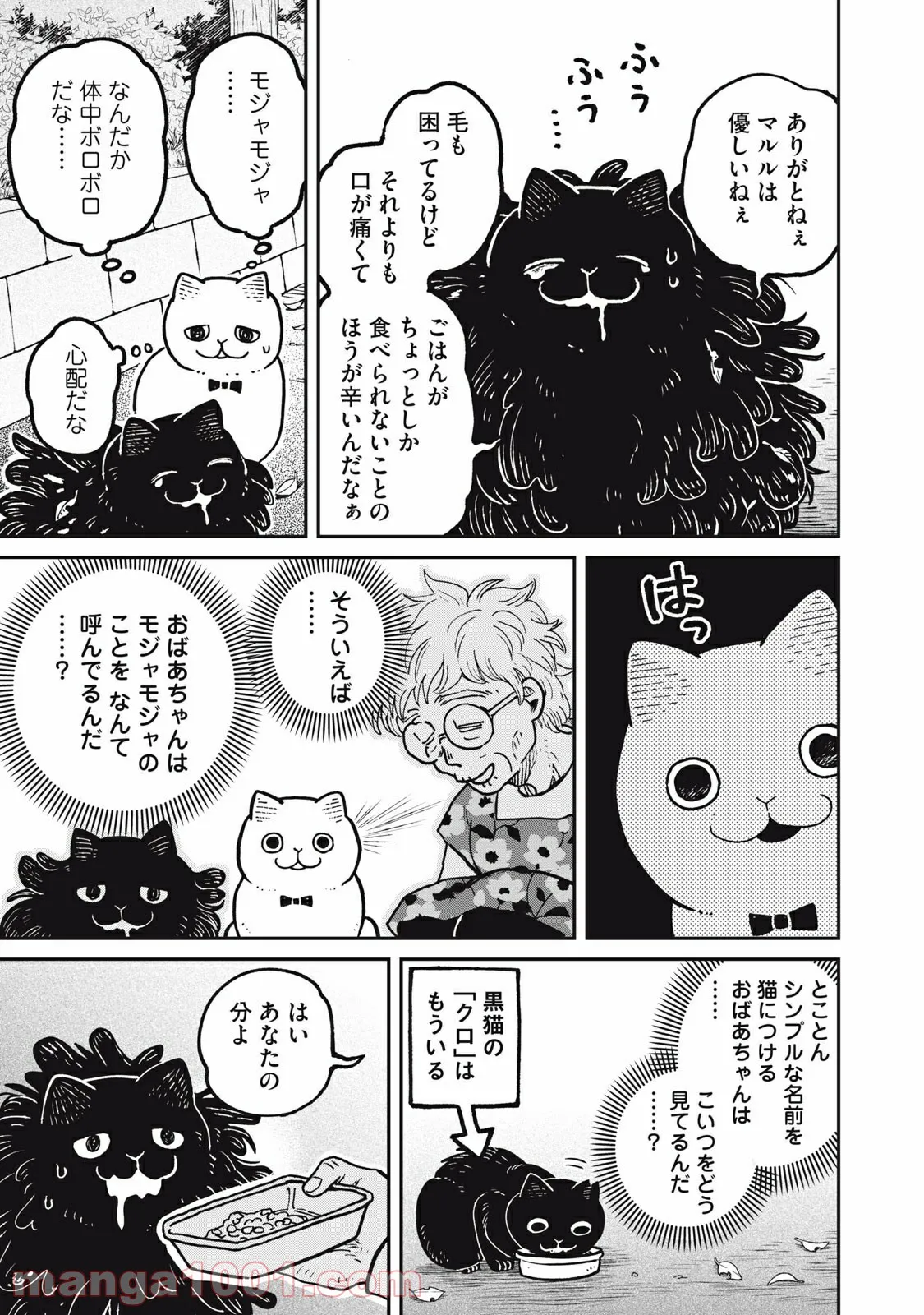 ツレ猫 マルルとハチ 第5.5話 - Page 3