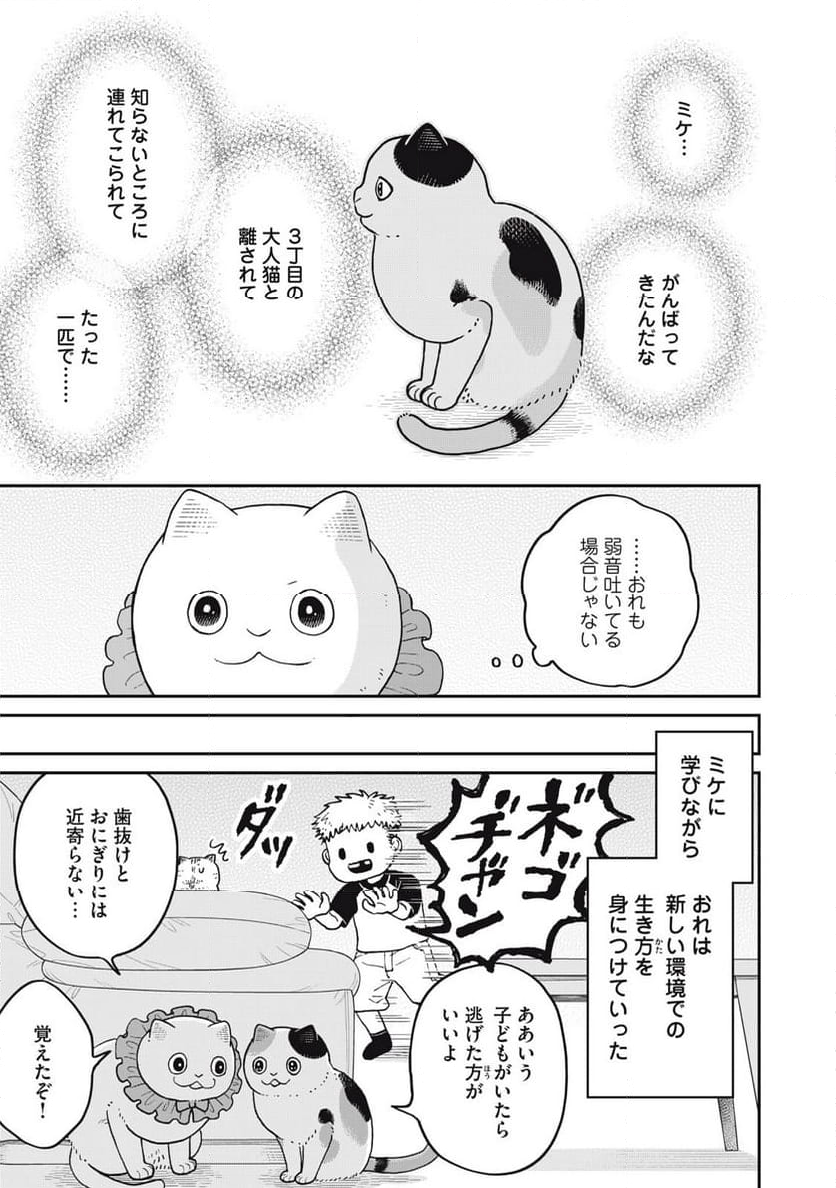 ツレ猫 マルルとハチ 第43話 - Page 11